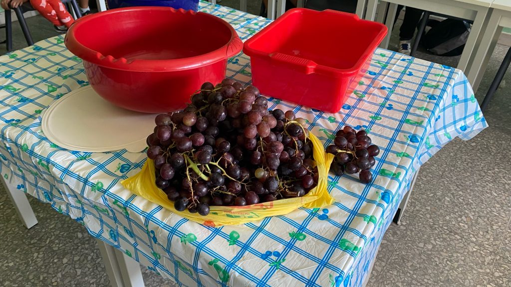 l'uva pronta per la nostra vendemmia