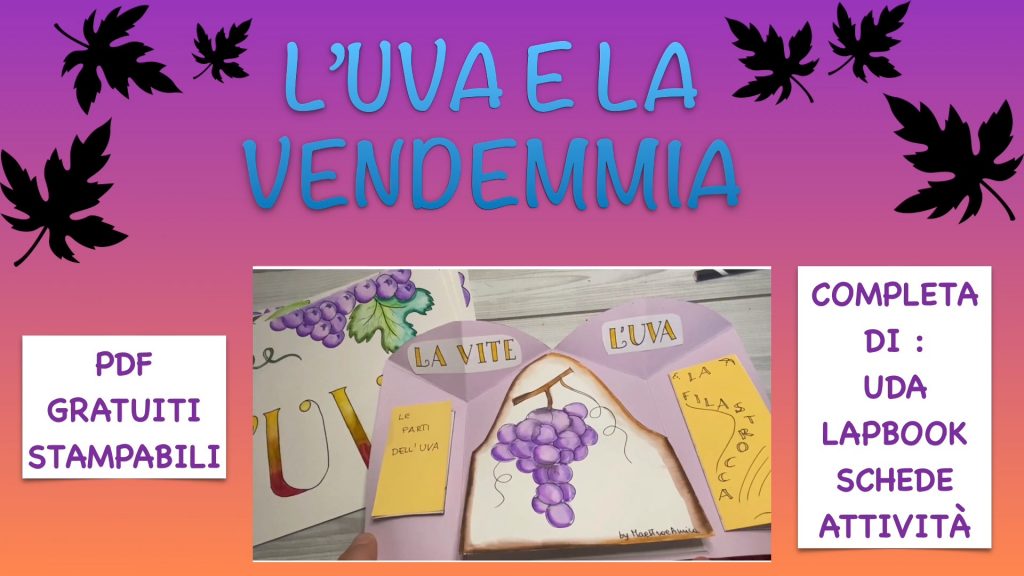 l'uva e la vendemmia