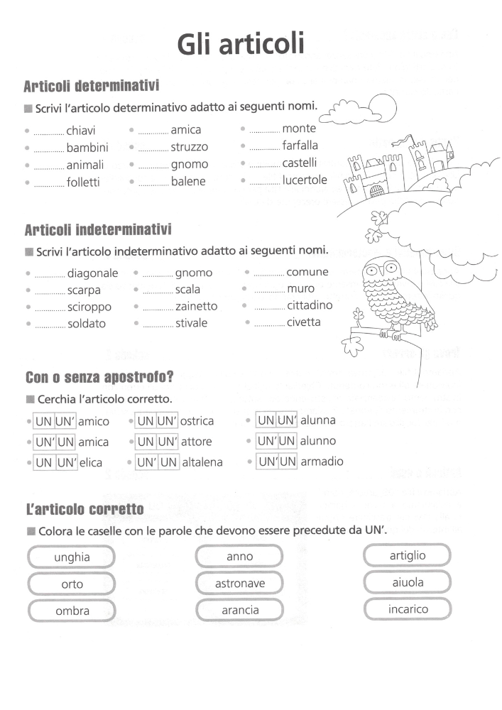 Scheda articoli determinativi - esercizi