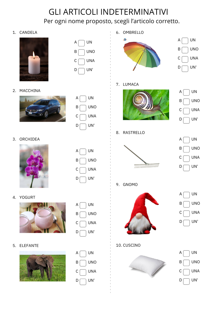 Esempio attività sugli articoli - pagina 5